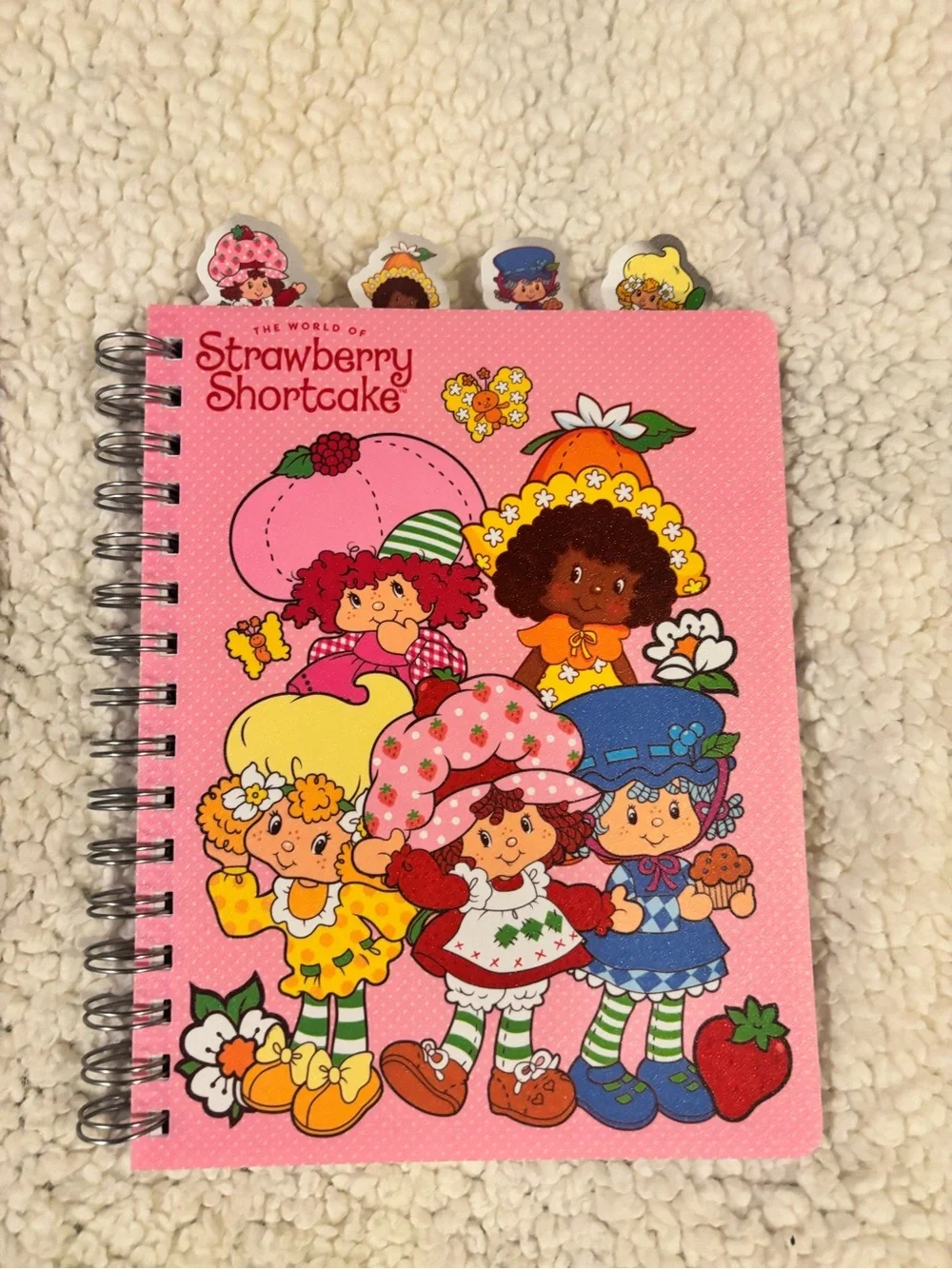 Hello Kitty/ Strawberry Shortcake notebooks